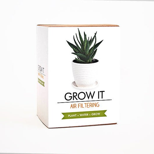 Grow It - Air Filtering - Something Different Gift Shop