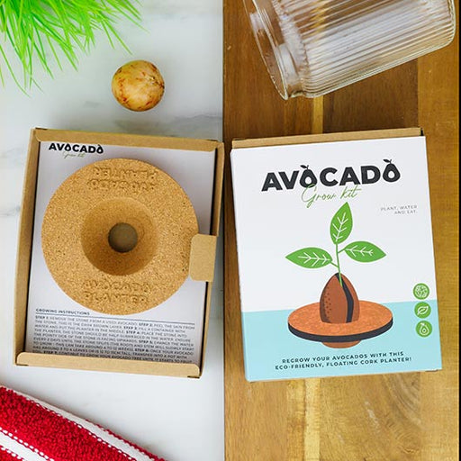 Grow It - Avocado - Something Different Gift Shop