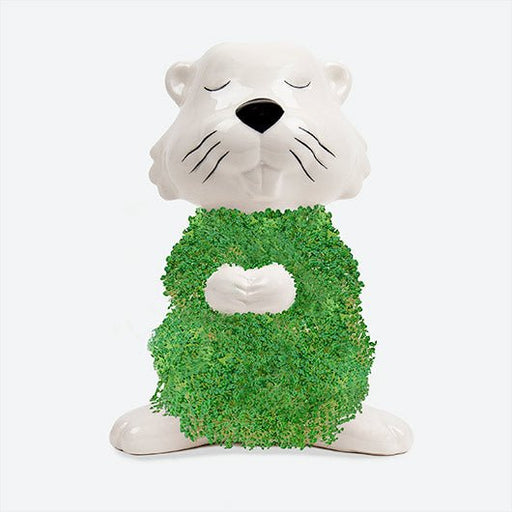 Hairy Beaver Planter - Something Different Gift Shop