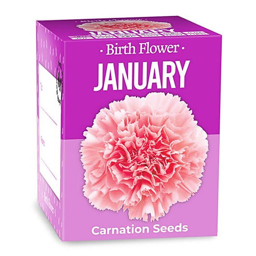 January Birth Flower - Something Different Gift Shop