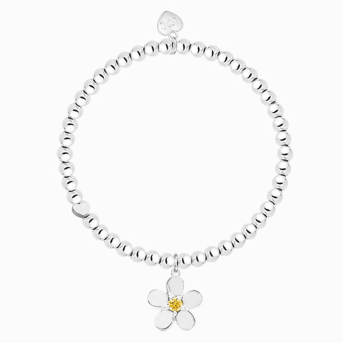 Life Charms Just Because Bracelet - Thanks A Lot - Something Different Gift Shop