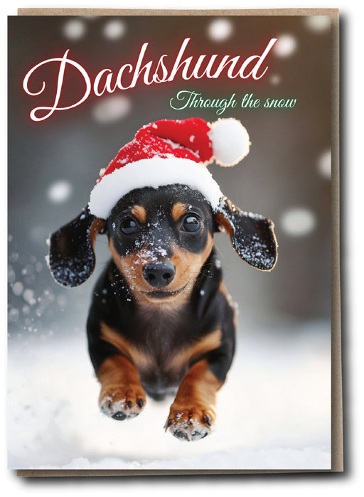 Silly Sausage - Dachshund - Something Different Gift Shop