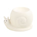 Snail Oil Burner - Something Different Gift Shop