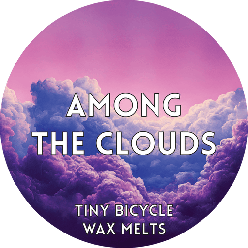 Tiny Bicycle Among The Clouds Segment Wax Melt - Something Different Gift Shop