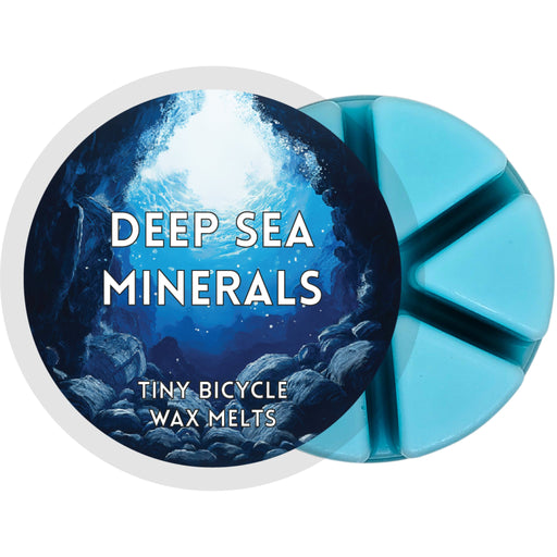 Tiny Bicycle Deep Sea Minerals Segment Wax Melt - Something Different Gift Shop