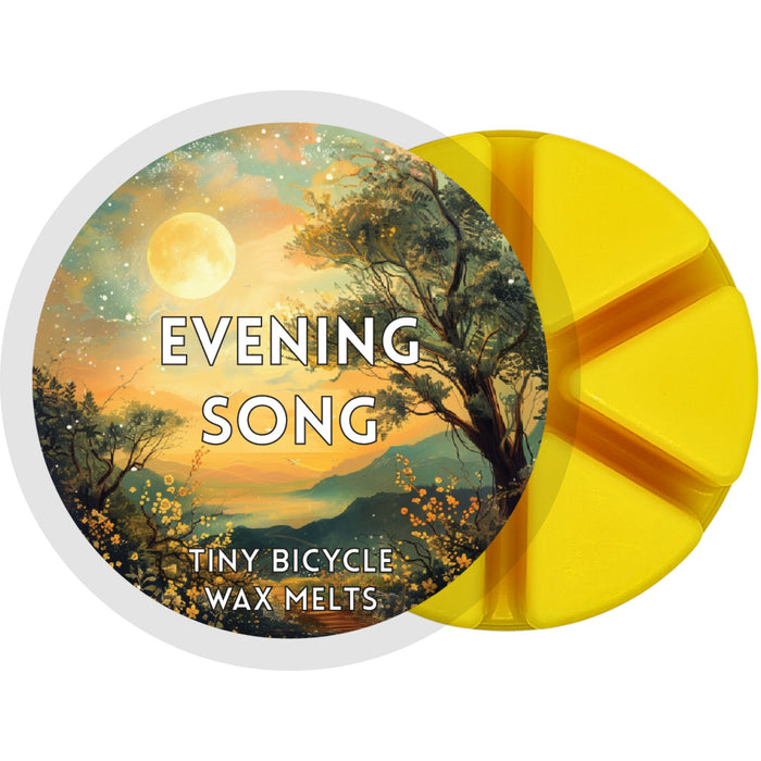 Tiny Bicycle Evening Song Segment Wax Melt - Something Different Gift Shop