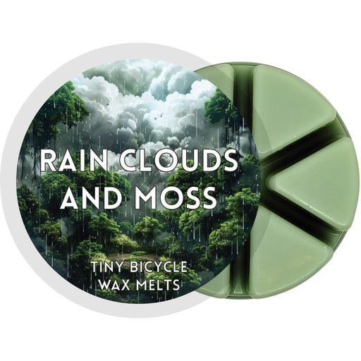 Tiny Bicycle Rain Clouds and Moss Segment Wax Melt - Something Different Gift Shop