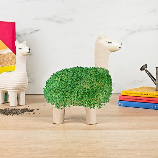 Llama Planter - Something Different Gift Shop