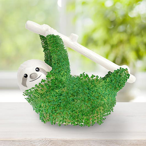 Sloth Chia Planter - Something Different Gift Shop